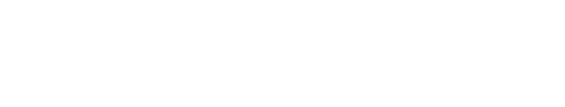 zalando wordmark white rgb